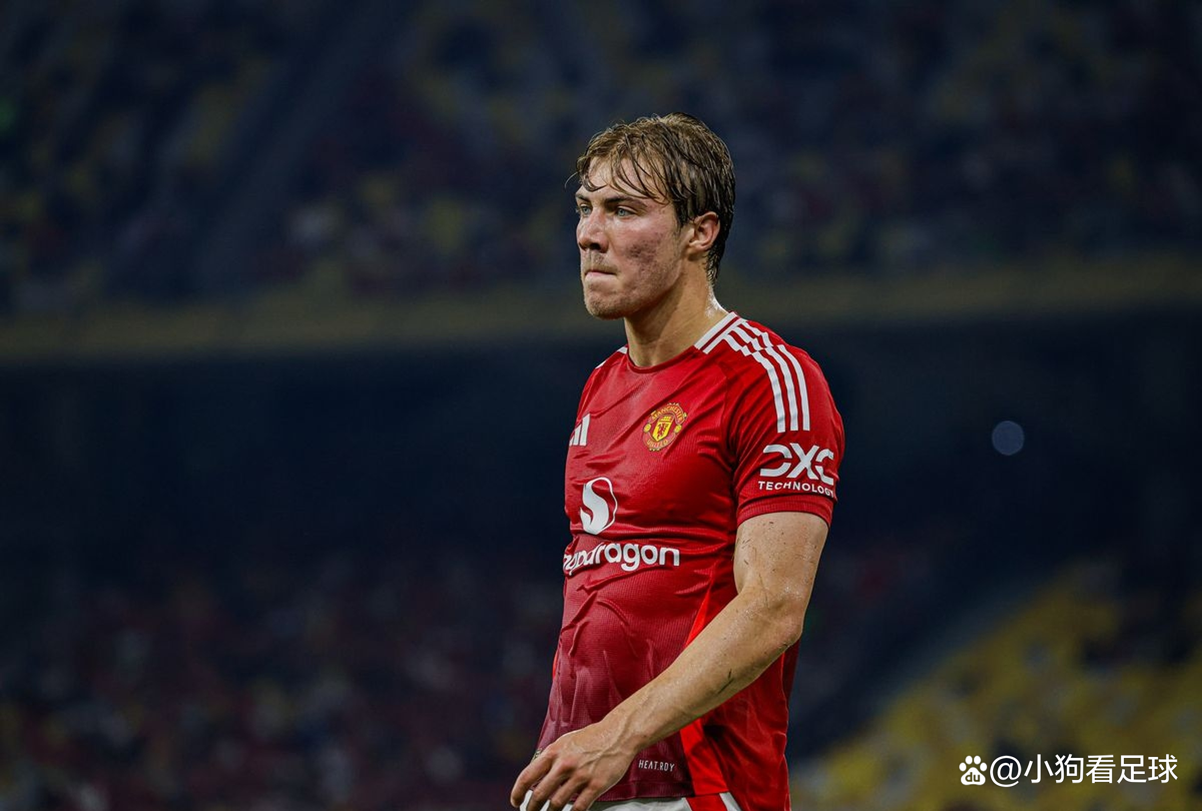 NG体育-包含意甲关键战再迎强敌，布莱顿豪取连胜，主帅态度：更衣室稳定，心理建设被强调的词条